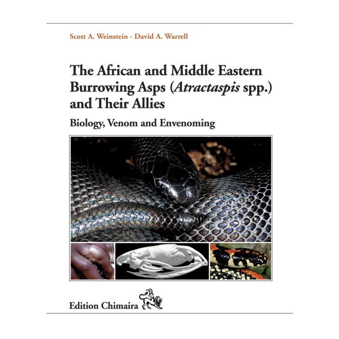 The African and Middle Eastern Burrowing Asps (Atractaspis spp.) and Their  Allies: Biology, Venom and Envenoming